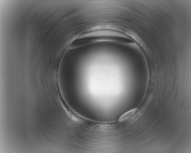 X0000065950849200603061122