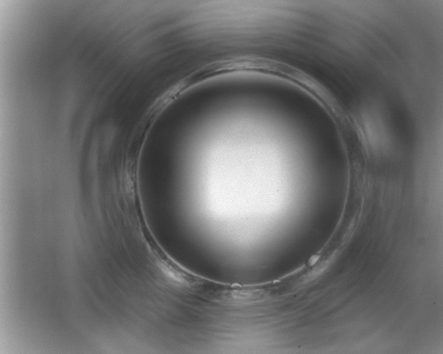 X0000065950857200603061122