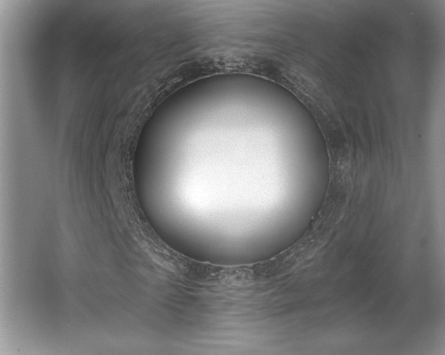 X0000065950865200603061122
