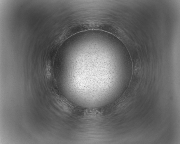 X0000065950866200603061122