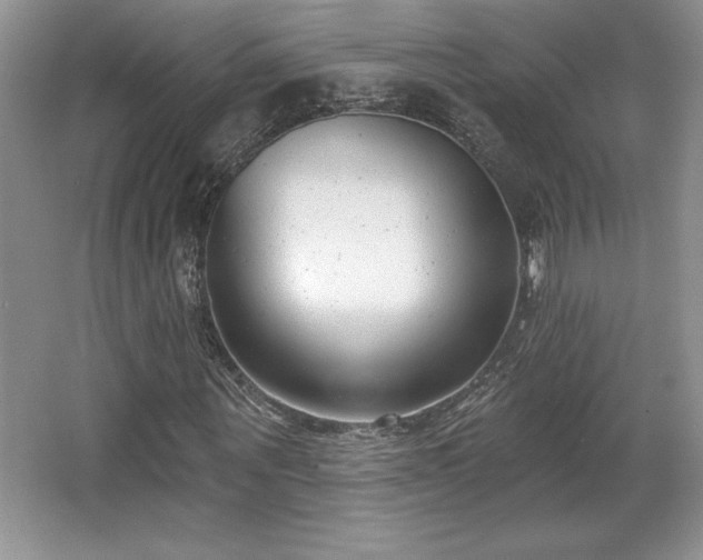 X0000065950867200603061122