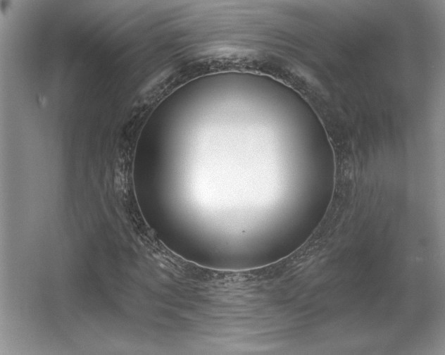 X0000065950869200603061122