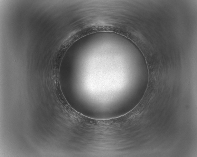X0000065950870200603061122