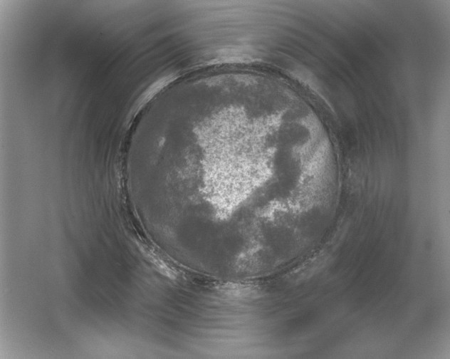 X0000065950874200603061122