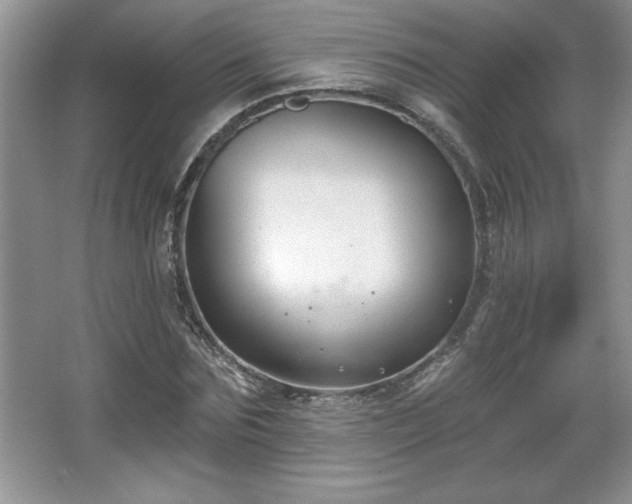 X0000065950875200603061122