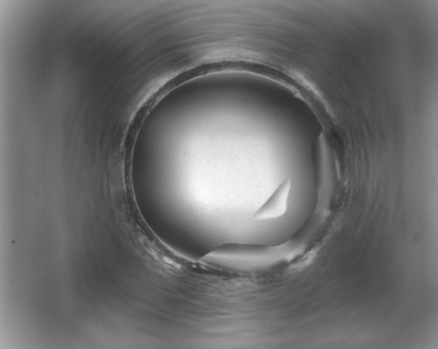 X0000065950877200603061122