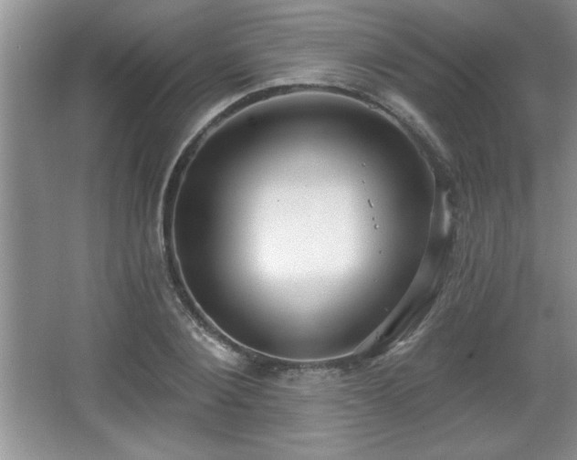 X0000065950884200603061121