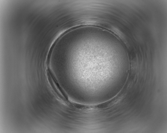 X0000065950891200603061121