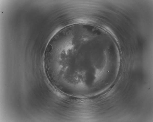 X0000065950899200603061121