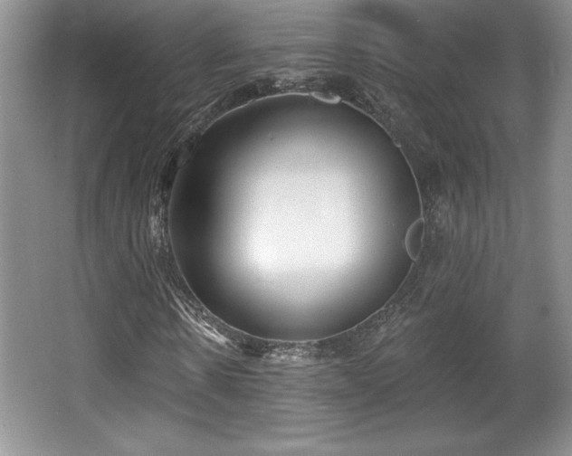 X0000065950914200603061120
