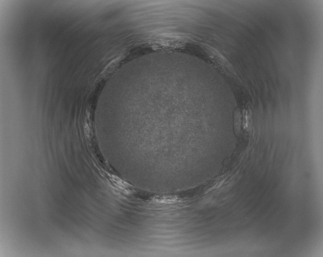 X0000065950915200603061120