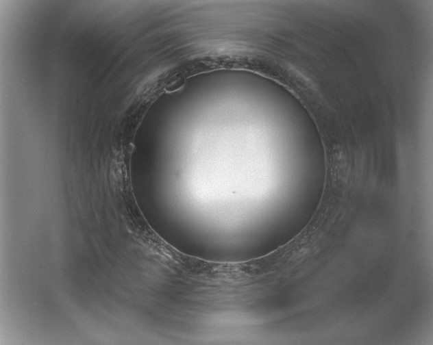 X0000065950918200603061120