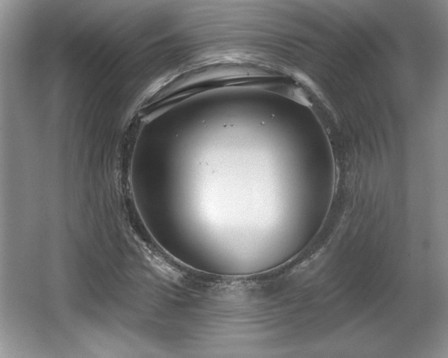 X0000065950922200603061120