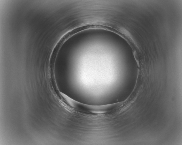 X0000065950924200603061120