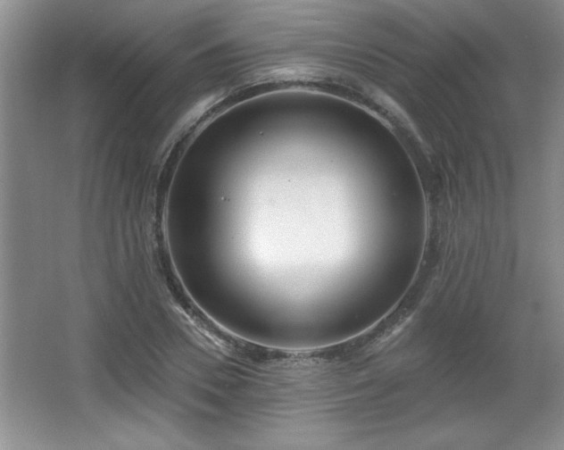 X0000065950930200603061120