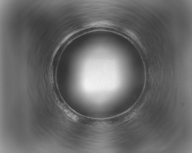 X0000065950931200603061120