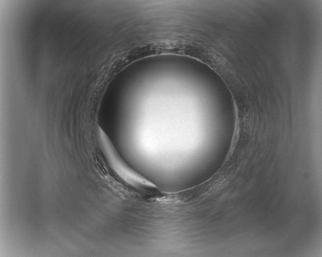 X0000065950961200603061120