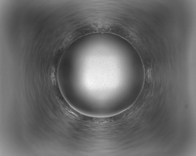 X0000065950963200603061120