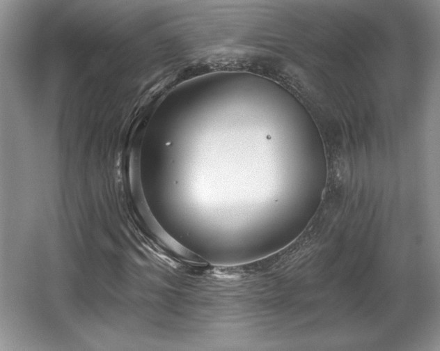 X0000065950964200603061120