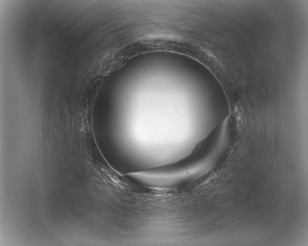 X0000065950965200603061120