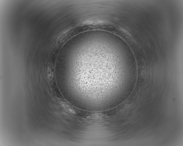 X0000065950966200603061120