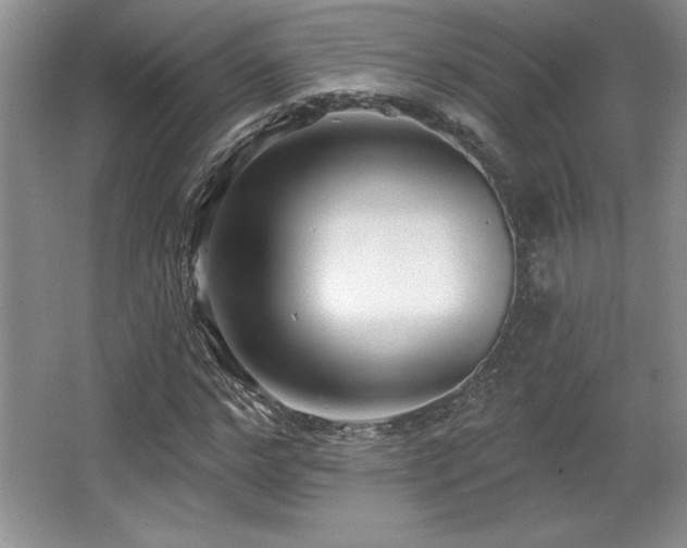 X0000065950968200603061120