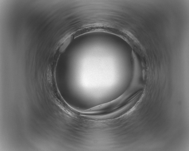 X0000065950969200603061120