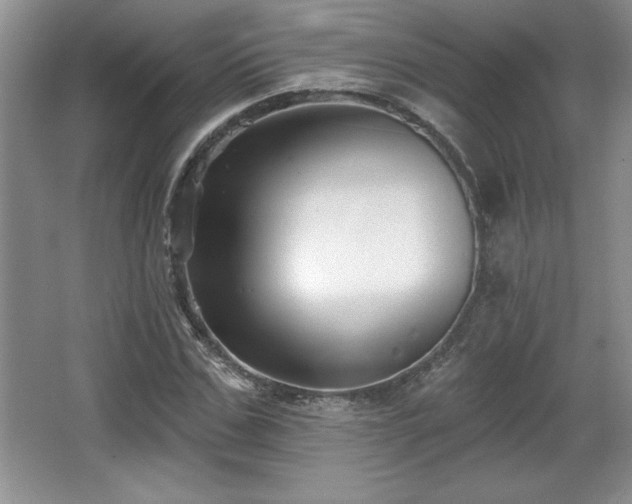 X0000065950971200603061120