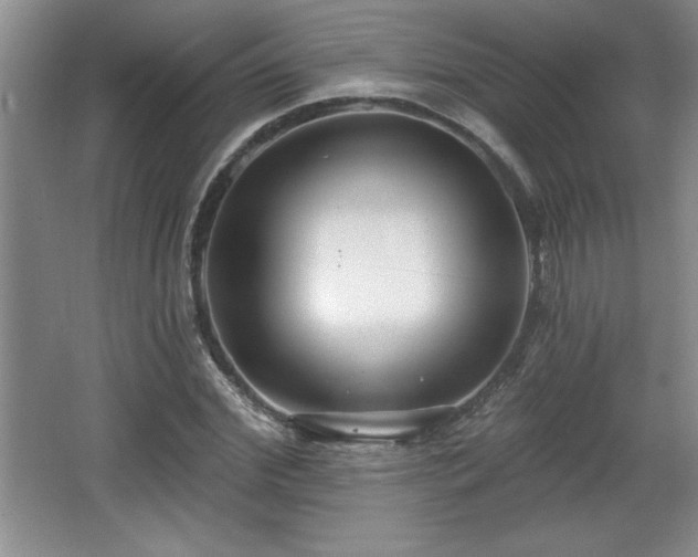 X0000065950972200603061120