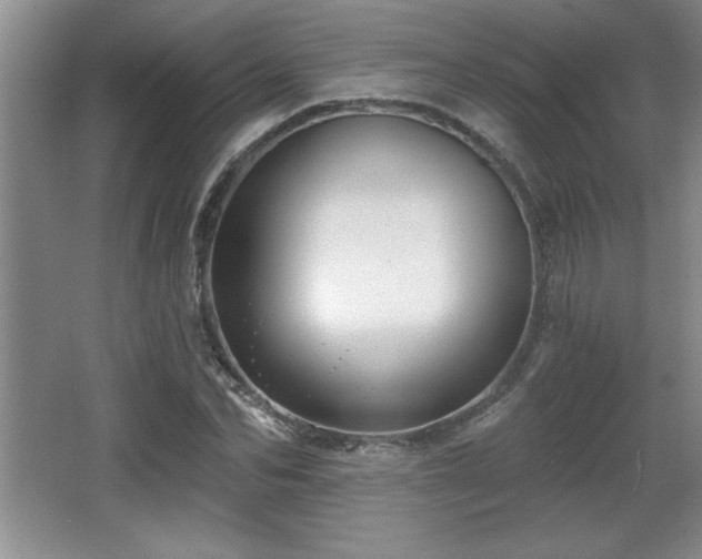 X0000065950974200603061120