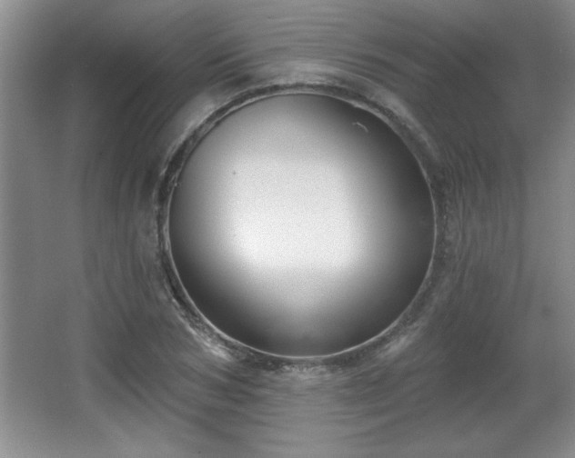 X0000065950978200603061120