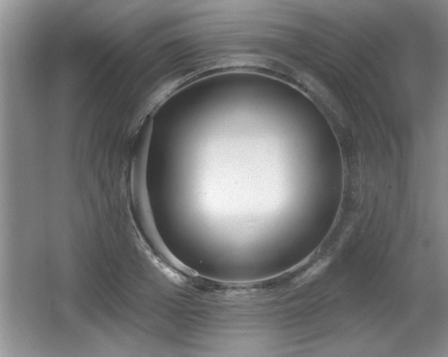 X0000065950985200603061120