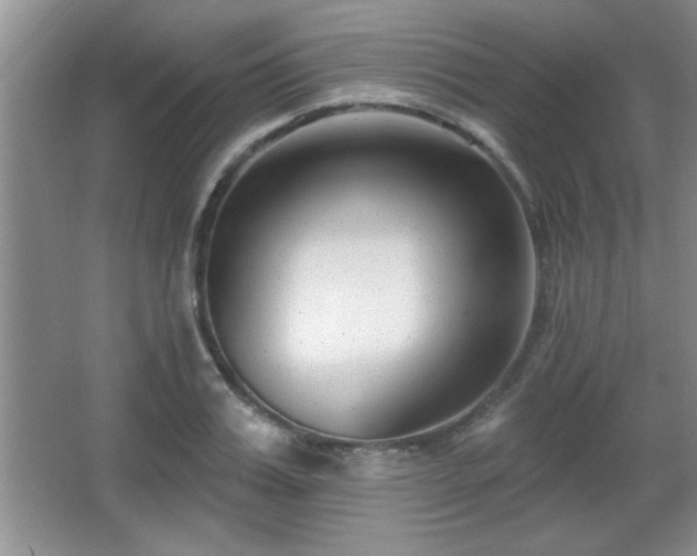 X0000065950987200603061120