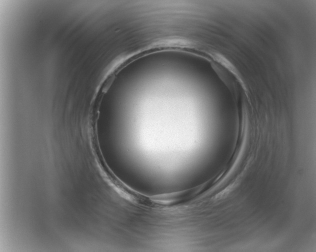 X0000065950989200603061120