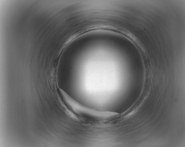 X0000065951001200603061119