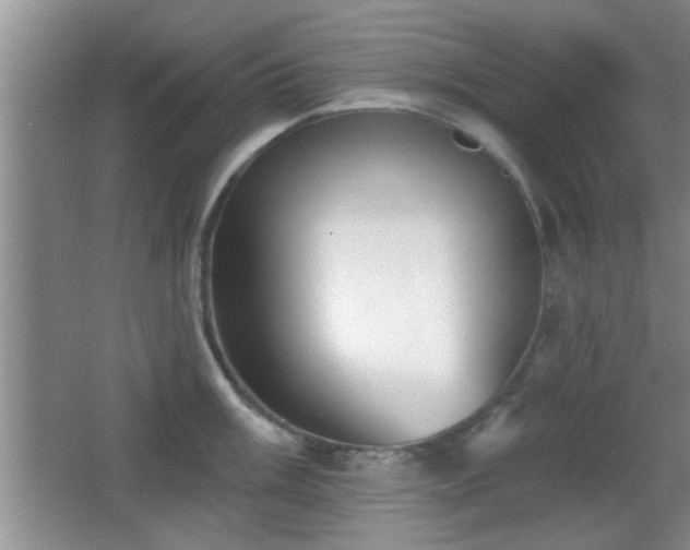 X0000065951003200603061119