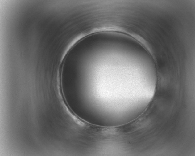 X0000065951006200603061119