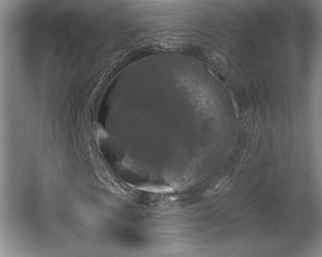 X0000065951009200603061119