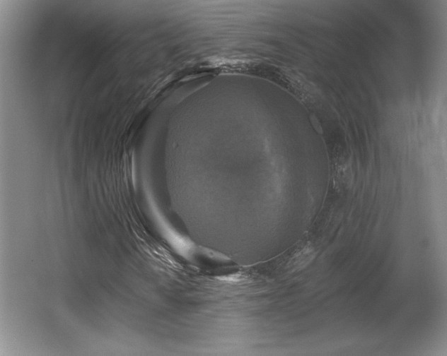 X0000065951010200603061119