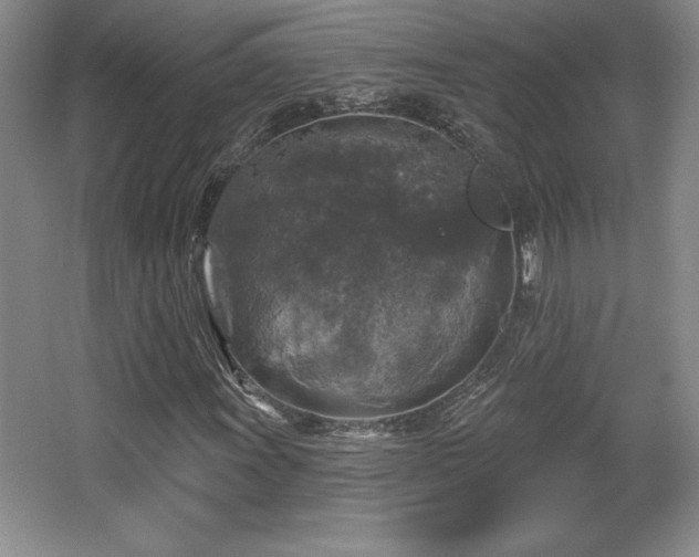 X0000065951011200603061119