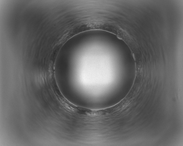 X0000065951012200603061119