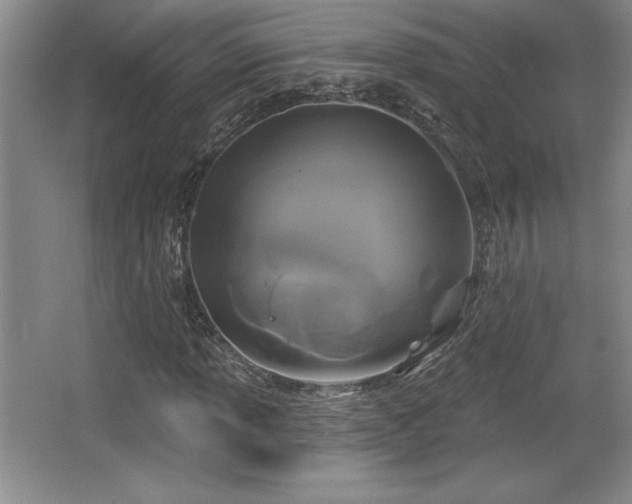 X0000065951013200603061119