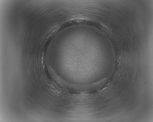 X0000065951014200603061119