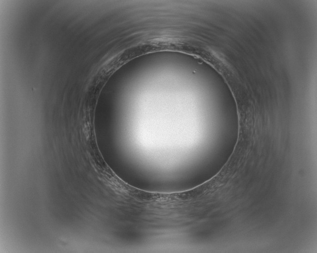 X0000065951015200603061119
