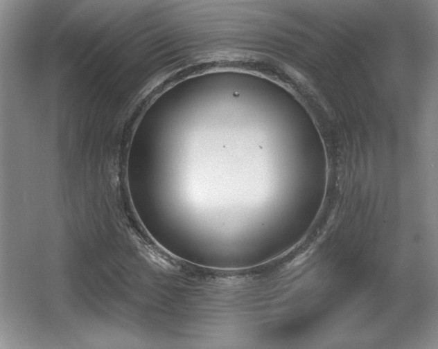 X0000065951017200603061119
