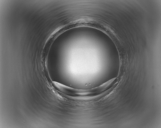 X0000065951018200603061119