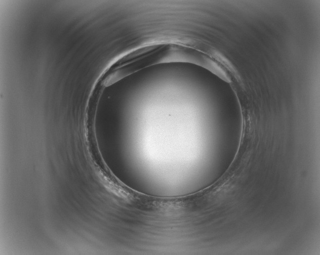 X0000065951020200603061119