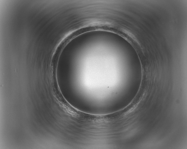 X0000065951021200603061119