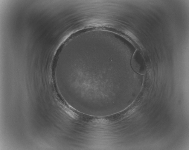 X0000065951023200603061119