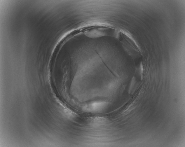 X0000065951024200603061119